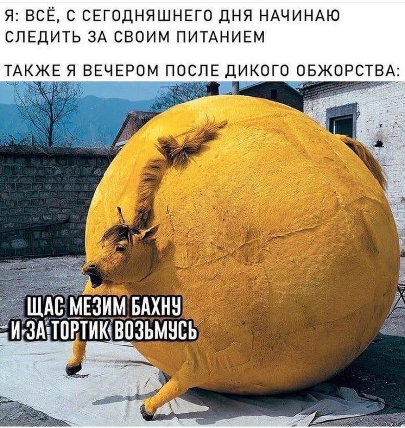 post-110715-1616731718.jpg