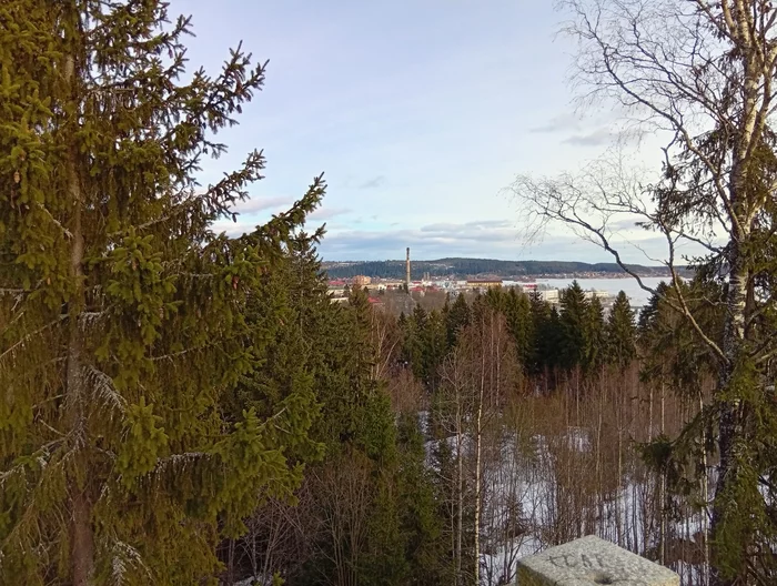 post-3398-17415896548cf4_thumb.webp