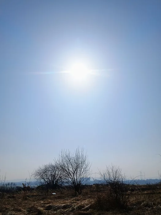 post-99027-1741556152c78b_thumb.webp