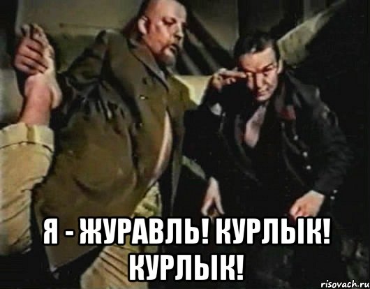 Узбикен курлык мурлык перевод на русский. Курлык курлык. Курлык курлык курлык курлык курлык. Как цапля курлык. Курлык курлык зелёного слоника.